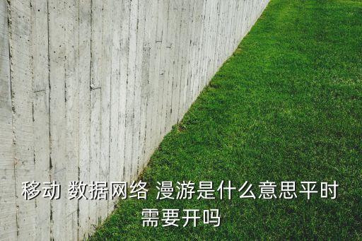 打開漫游數(shù)據(jù)流量嗎,打開數(shù)據(jù)漫游會(huì)不會(huì)很費(fèi)流量