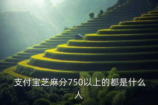  支付寶芝麻分750以上的都是什么人