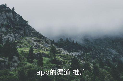 app的渠道 推廣