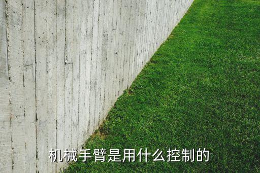 機(jī)械手臂是用什么控制的