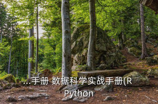 ...手冊(cè) 數(shù)據(jù)科學(xué)實(shí)戰(zhàn)手冊(cè)(R Python