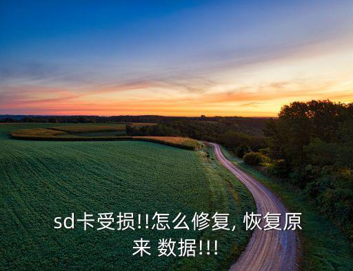 sd卡無法刪除數(shù)據(jù)恢復(fù),在手機(jī)上sd卡數(shù)據(jù)恢復(fù)教程