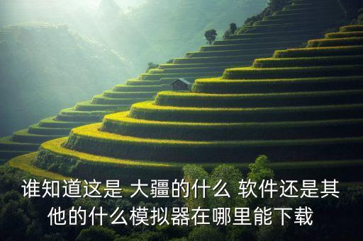 誰(shuí)知道這是 大疆的什么 軟件還是其他的什么模擬器在哪里能下載