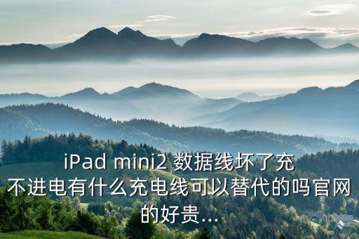 iPad mini2 數(shù)據(jù)線壞了充不進(jìn)電有什么充電線可以替代的嗎官網(wǎng)的好貴...