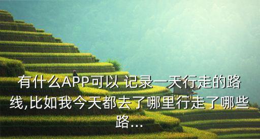 數(shù)據(jù)記錄app,體重數(shù)據(jù)記錄app