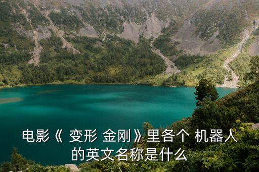 電影《 變形 金剛》里各個 機器人的英文名稱是什么