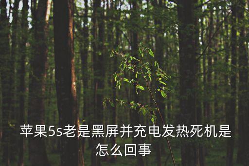  蘋果5s老是黑屏并充電發(fā)熱死機(jī)是怎么回事