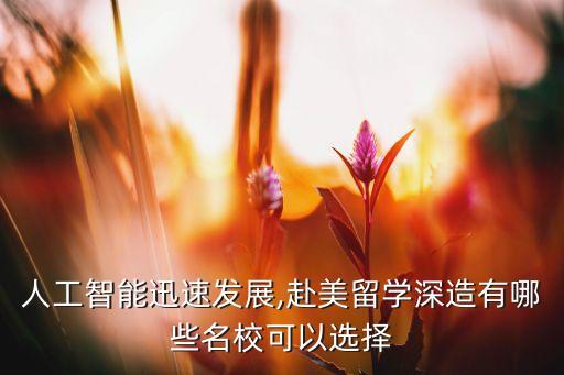 人工智能迅速發(fā)展,赴美留學(xué)深造有哪些名?？梢赃x擇