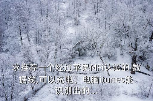 求推薦一個經(jīng)過蘋果MFi認證的 數(shù)據(jù)線,可以充電、電腦itunes能識別出的...