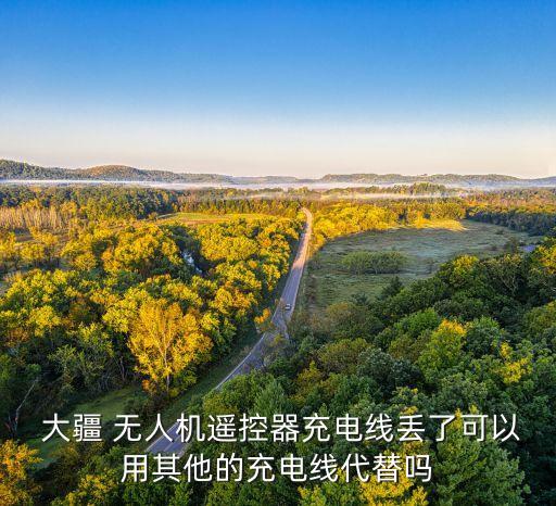 大疆無(wú)人機(jī)手柄數(shù)據(jù)線如何拆卸