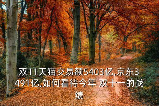 雙11天貓交易額5403億,京東3491億,如何看待今年 雙十一的戰(zhàn)績(jī)