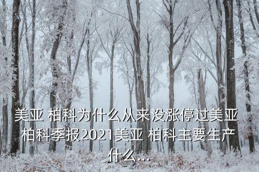 美亞 柏科為什么從來(lái)沒漲停過(guò)美亞 柏科季報(bào)2021美亞 柏科主要生產(chǎn)什么...