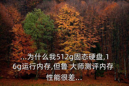 魯大師存儲性能數(shù)據(jù)庫