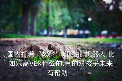 北京大學(xué)機(jī)器人愛好者協(xié)會(huì)