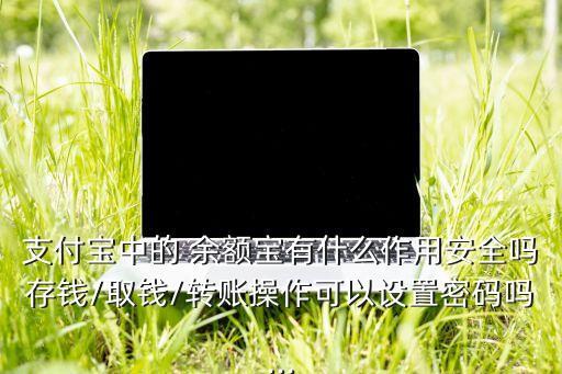 支付寶中的 余額寶有什么作用安全嗎存錢/取錢/轉(zhuǎn)賬操作可以設(shè)置密碼嗎...