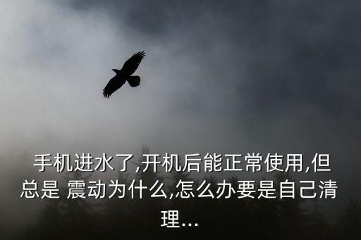  手機進水了,開機后能正常使用,但總是 震動為什么,怎么辦要是自己清理...