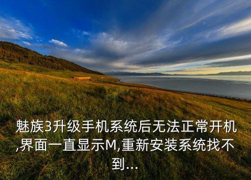  魅族3升級(jí)手機(jī)系統(tǒng)后無(wú)法正常開機(jī),界面一直顯示M,重新安裝系統(tǒng)找不到...