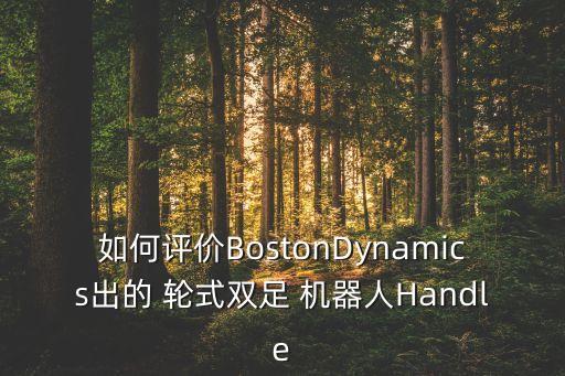 輪式行走機(jī)器人,輪式機(jī)器人介紹
