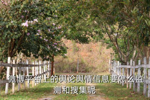 新浪微博數(shù)據(jù)挖掘方案研究