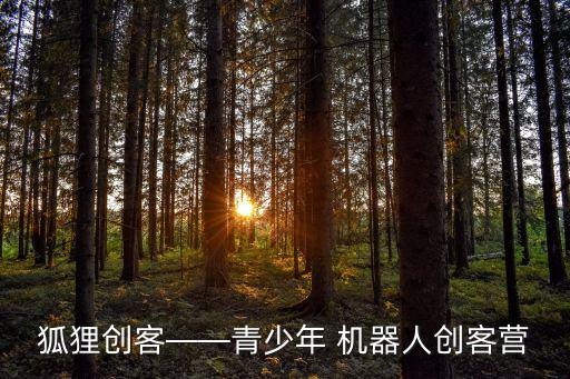 狐貍創(chuàng)客——青少年 機(jī)器人創(chuàng)客營(yíng)