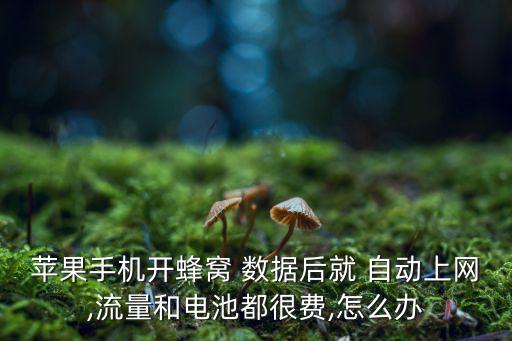 iphonewifi自動(dòng)用數(shù)據(jù),為什么iphonewifi自動(dòng)打開(kāi)