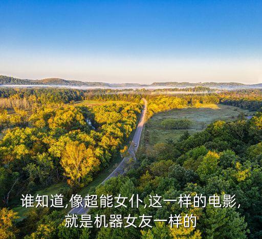 誰知道,像超能女仆,這一樣的電影,就是機器女友一樣的