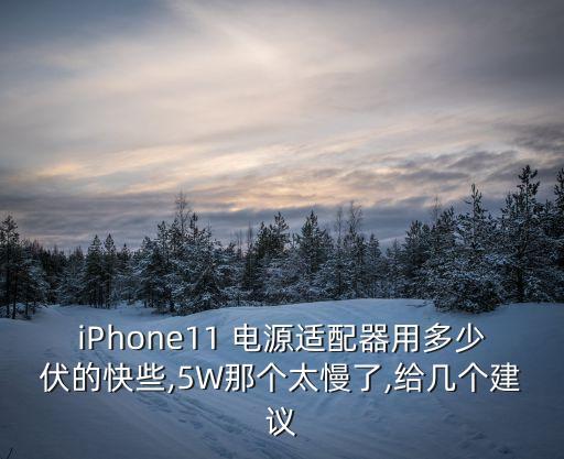 iPhone11 電源適配器用多少伏的快些,5W那個(gè)太慢了,給幾個(gè)建議