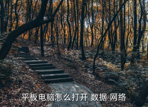 平板電腦怎么打開 數(shù)據(jù) 網(wǎng)絡(luò)