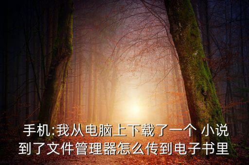  手機:我從電腦上下載了一個 小說到了文件管理器怎么傳到電子書里