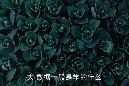 大數(shù)據(jù)數(shù)據(jù)管理系統(tǒng),青少年健康數(shù)據(jù)管理系統(tǒng)