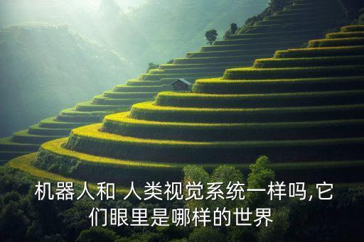  機器人和 人類視覺系統(tǒng)一樣嗎,它們眼里是哪樣的世界
