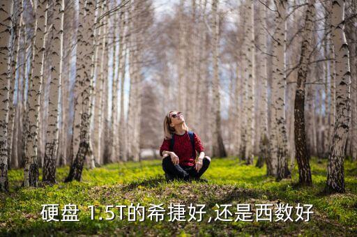 西部數(shù)據(jù)1.5t的嗎