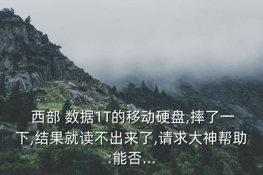 西部數(shù)據(jù) 南昌維修點,廣州西部數(shù)據(jù)售后維修點
