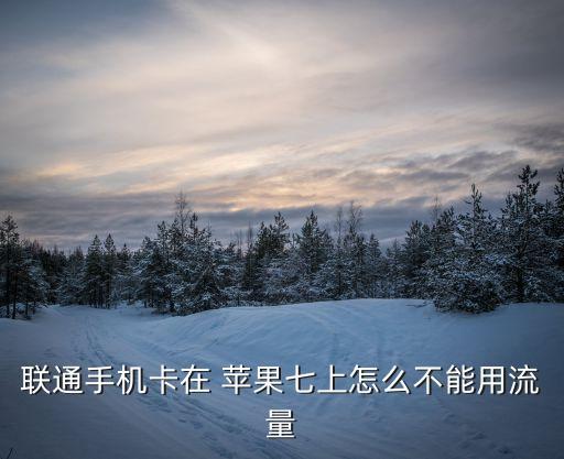 聯(lián)通手機卡在 蘋果七上怎么不能用流量