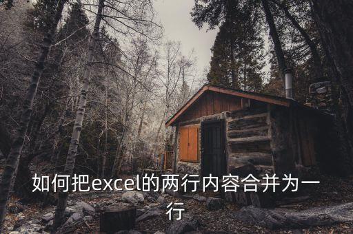 如何把excel的兩行內(nèi)容合并為一行