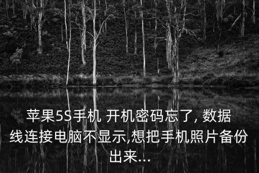 蘋果5S手機(jī) 開機(jī)密碼忘了, 數(shù)據(jù)線連接電腦不顯示,想把手機(jī)照片備份出來...