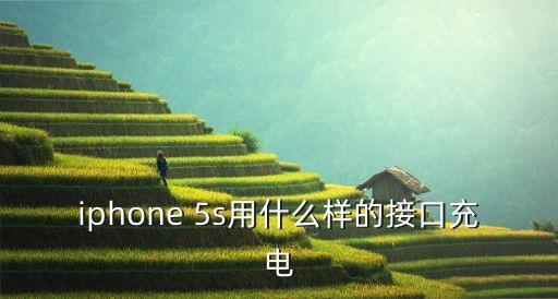 iphone 5s用什么樣的接口充電