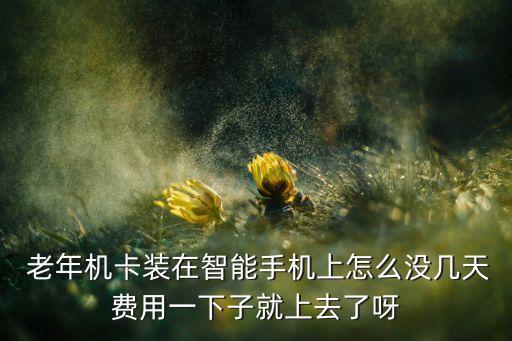  老年機(jī)卡裝在智能手機(jī)上怎么沒幾天費(fèi)用一下子就上去了呀