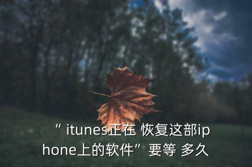 “ itunes正在 恢復(fù)這部iphone上的軟件”要等 多久
