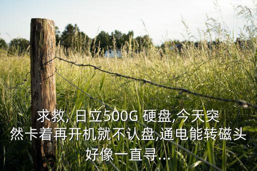 求救, 日立500G 硬盤,今天突然卡著再開機就不認盤,通電能轉磁頭好像一直尋...