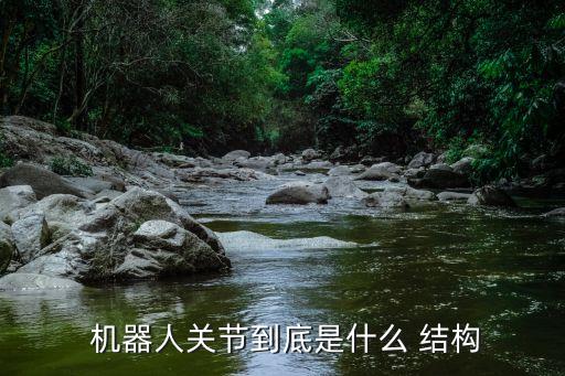 機器人的的結(jié)構(gòu)
