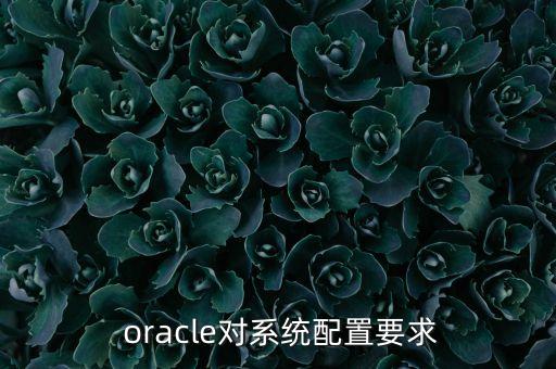 oracle 11g 數(shù)據(jù)庫 企業(yè)版 是否針對cpu?