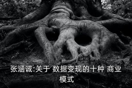 張涵誠:關(guān)于 數(shù)據(jù)變現(xiàn)的十種 商業(yè) 模式