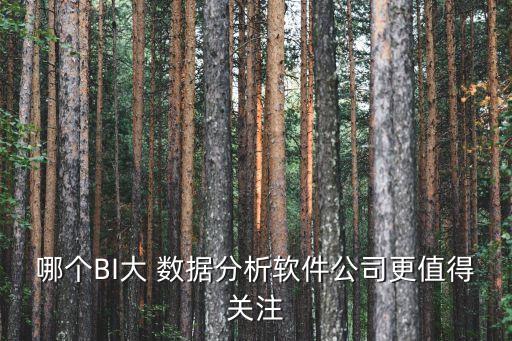 bi 大數(shù)據(jù),BI大數(shù)據(jù)分析師
