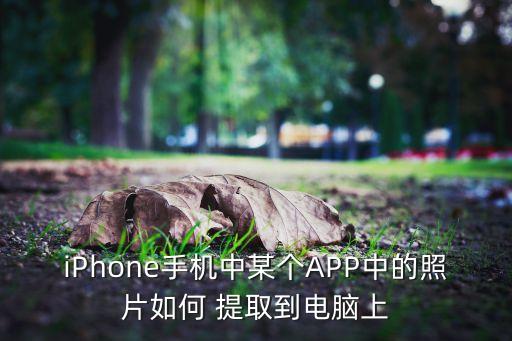 iPhone手機(jī)中某個(gè)APP中的照片如何 提取到電腦上