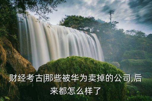 財經(jīng)考古|那些被華為賣掉的公司,后來都怎么樣了