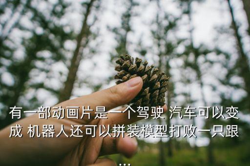汽車會(huì)變成機(jī)器人的,汽車變成機(jī)器人的動(dòng)畫(huà)片都叫什么