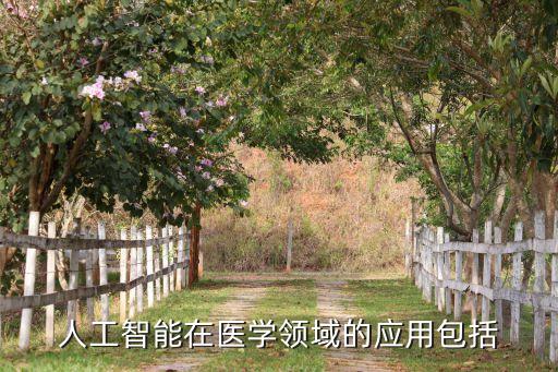 人工智能在醫(yī)學(xué)領(lǐng)域的應(yīng)用包括