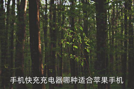 手機(jī)快充充電器哪種適合蘋果手機(jī)