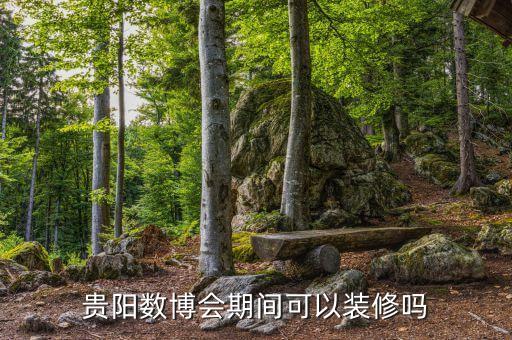 貴陽(yáng)數(shù)博會(huì)期間可以裝修嗎
